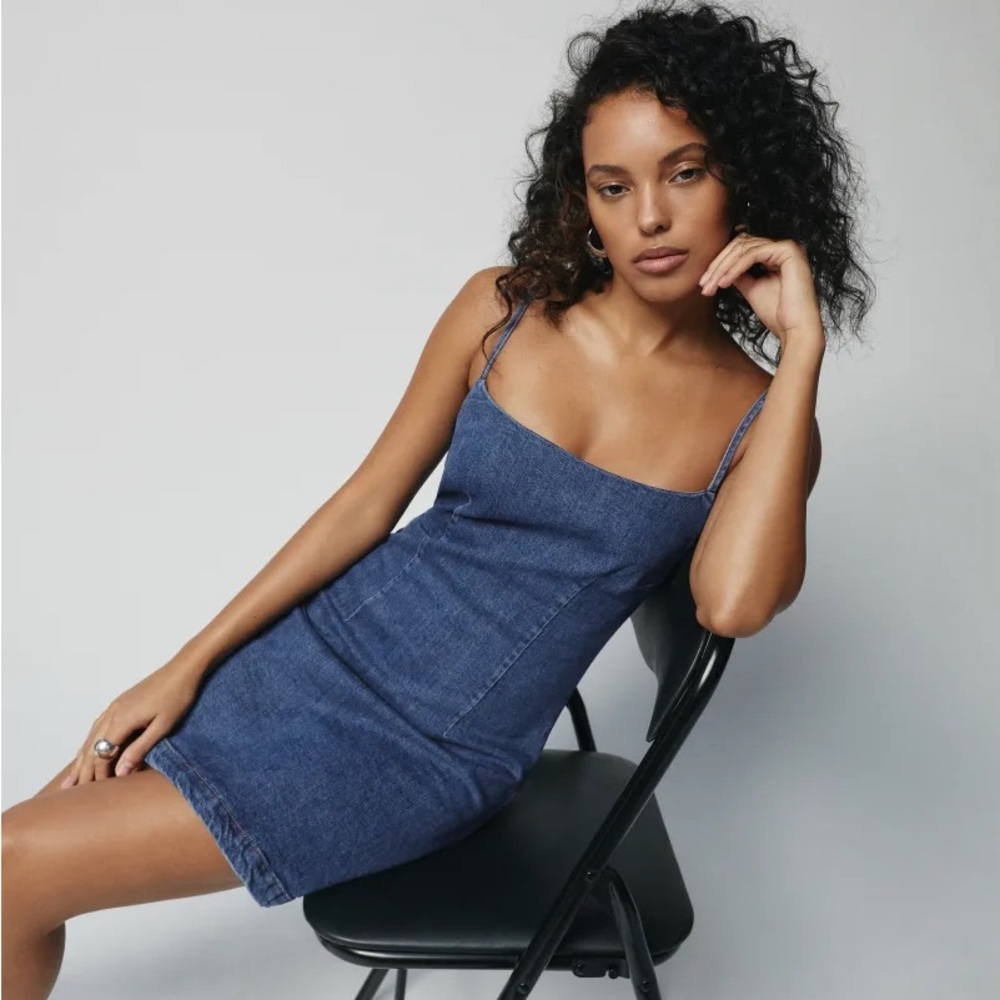 Delphia Denim Mini Dress